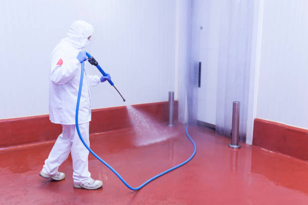 Best Driveway Pressure Washing  in Providence, UT
